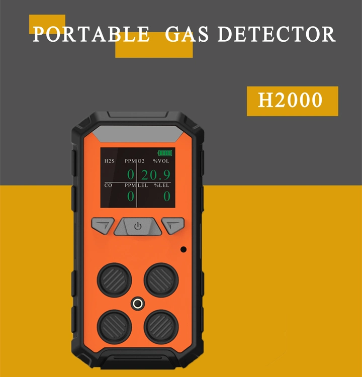 New Design Portable Gas Detector H2s Gas