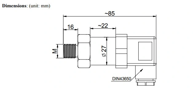 316L Stainless Steel Compact Customized 4-20mA Fuel Gas Pressure Transmitter